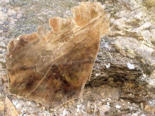 云母含鐵愈高時(shí)，顏色愈深，同時(shí)多色性和吸收性增強(qiáng)